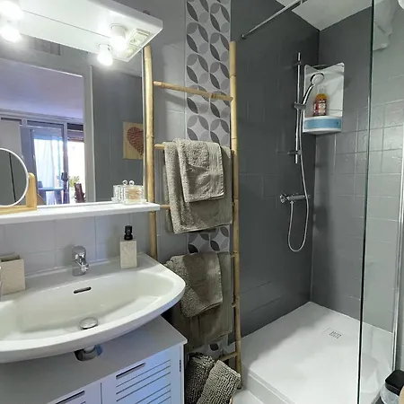 Cocon Confort A Saint-cyprien Apartment Saint-Cyprien (Pyrenees-Orientales)